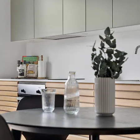 Little Luxury Appartement Århus